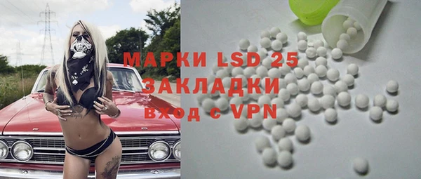 крисы Ельня
