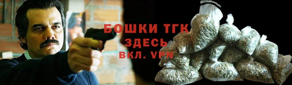 крисы Ельня