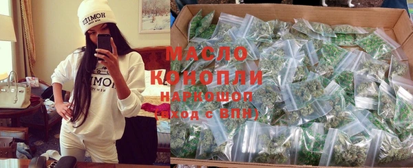 крисы Ельня