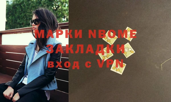 крисы Ельня