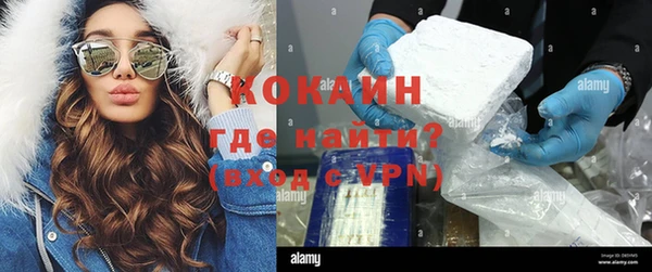 крисы Ельня