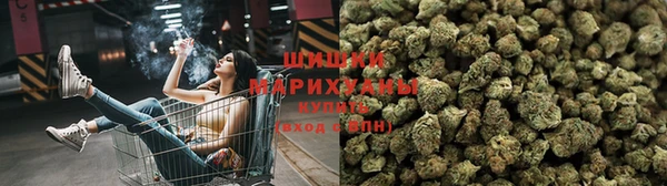 крисы Ельня