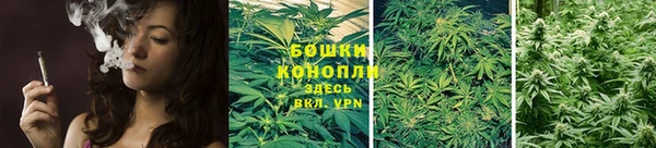 крисы Ельня